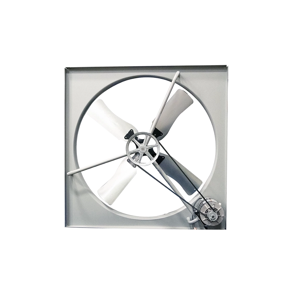 24in Wall Mount rear